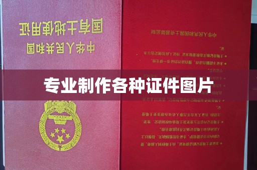 莒南专业制作各种证件图片