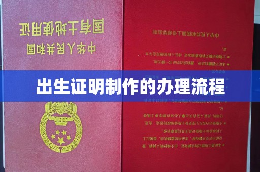 莒南出生证明制作的办理流程