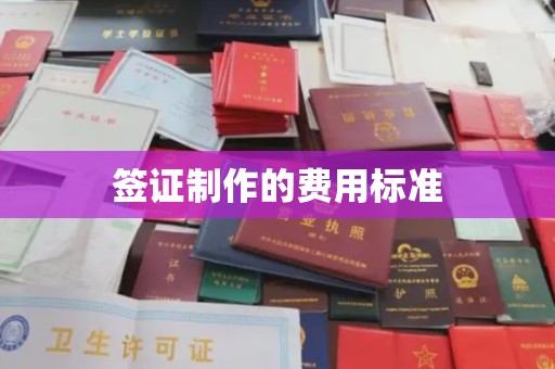 莒南签证制作的费用标准