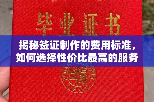 莒南揭秘签证制作的费用标准，如何选择性价比最高的服务？