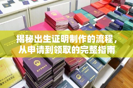 莒南揭秘出生证明制作的流程，从申请到领取的完整指南