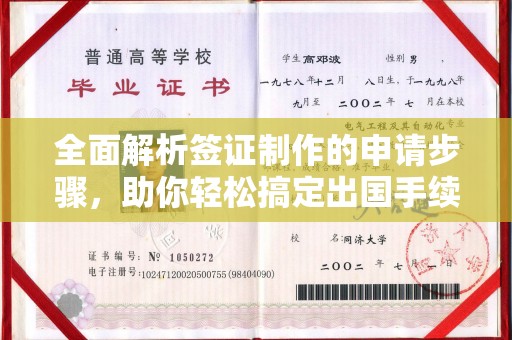 莒南全面解析签证制作的申请步骤，助你轻松搞定出国手续