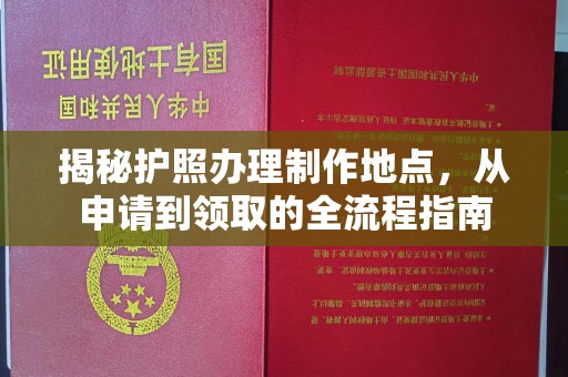 莒南揭秘护照办理制作地点，从申请到领取的全流程指南