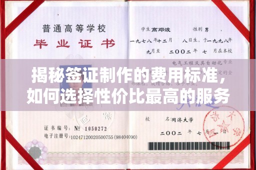 莒南揭秘签证制作的费用标准，如何选择性价比最高的服务？