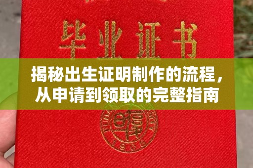 莒南揭秘出生证明制作的流程，从申请到领取的完整指南