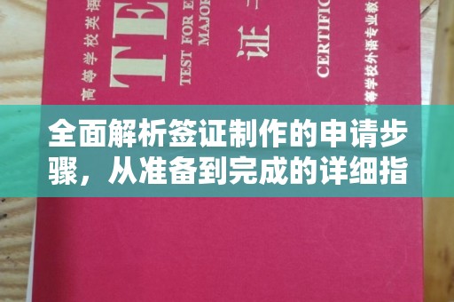莒南全面解析签证制作的申请步骤，从准备到完成的详细指南